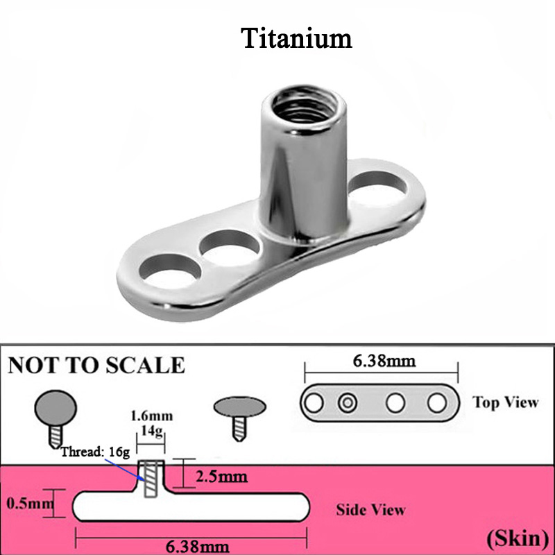 1Peice G23 티타늄 피부 앵커 다이버 피부에 숨 - Body Jewelry Dermal 리뷰 및 가격